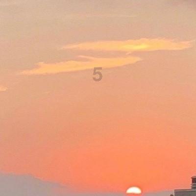 花语月